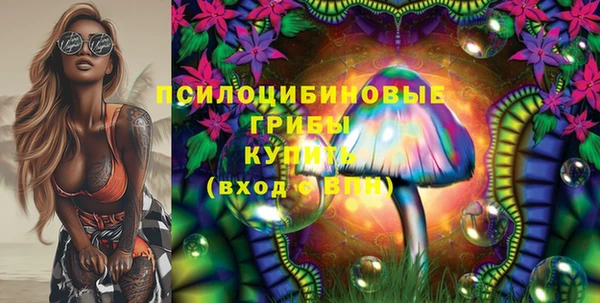 спиды Михайловка