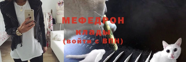 сатива Михайлов