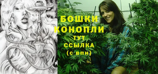 сатива Михайлов