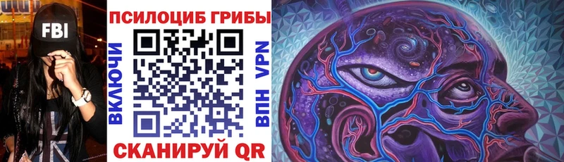 Галлюциногенные грибы мицелий  Юрьевец 