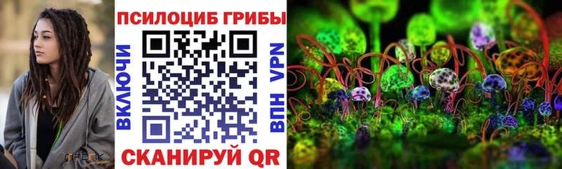 Псилоцибиновые грибы прущие грибы Юрьевец